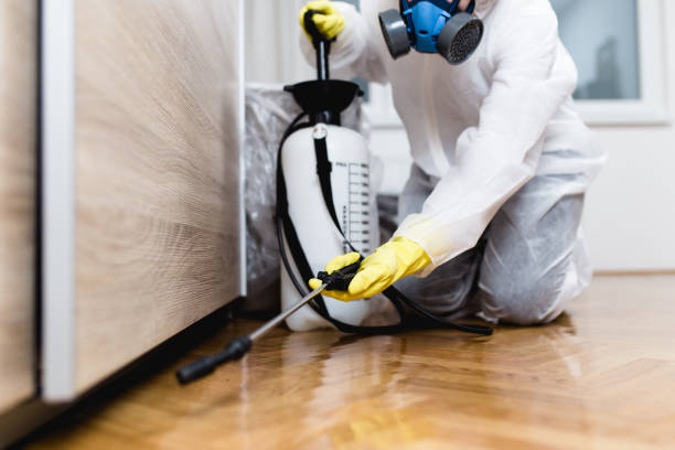 Best Rat Extermination Near Me  in Maryland City, MD