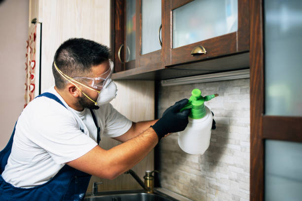 Best Mosquito Control Services  in Maryland City, MD
