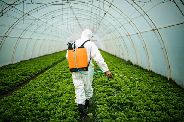 Best Pest Control Treatment  in Maryland City, MD
