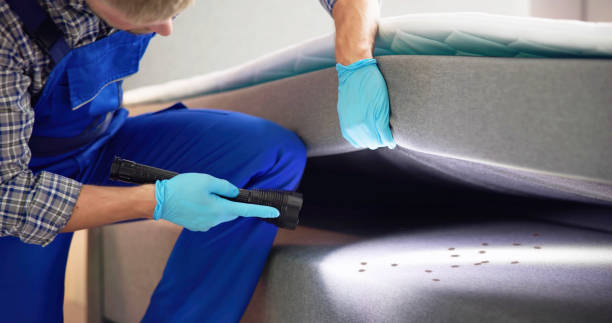 Pest Control for Restaurants in Maryland City, MD